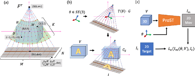 Figure 1 for Generalizing Spatial Transformers to Projective Geometry with Applications to 2D/3D Registration