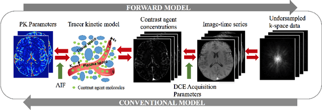 Figure 1 for Direct Estimation of Pharmacokinetic Parameters from DCE-MRI using Deep CNN with Forward Physical Model Loss