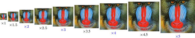 Figure 3 for CUF: Continuous Upsampling Filters
