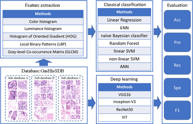 Figure 3 for A Comparative Study of Gastric Histopathology Sub-size Image Classification: from Linear Regression to Visual Transformer