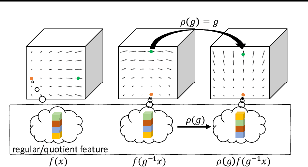 Figure 2 for PDO-s3DCNNs: Partial Differential Operator Based Steerable 3D CNNs