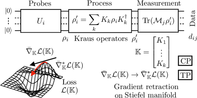 Figure 1 for Gradient-descent quantum process tomography by learning Kraus operators