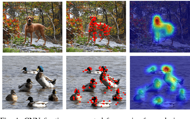 Figure 1 for CNN Fixations: An unraveling approach to visualize the discriminative image regions