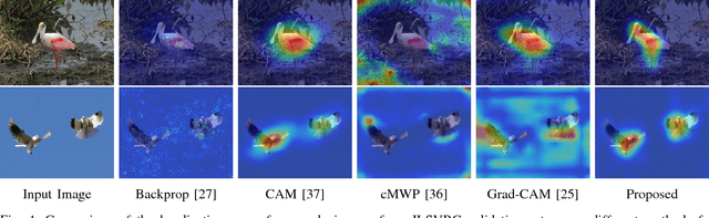 Figure 4 for CNN Fixations: An unraveling approach to visualize the discriminative image regions