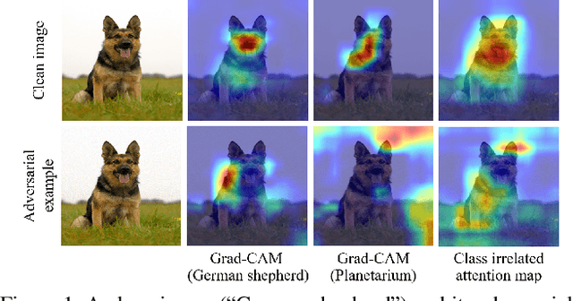 Figure 1 for AGKD-BML: Defense Against Adversarial Attack by Attention Guided Knowledge Distillation and Bi-directional Metric Learning