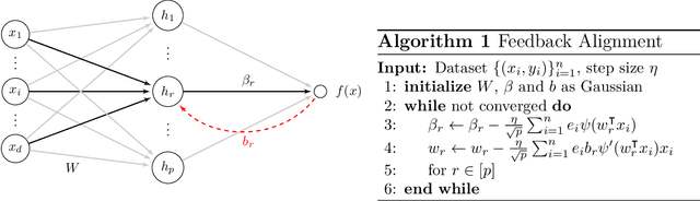 Figure 1 for Convergence and Alignment of Gradient Descent with Random Back Propagation Weights