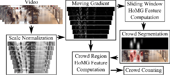 Figure 1 for Scene Invariant Crowd Segmentation and Counting Using Scale-Normalized Histogram of Moving Gradients (HoMG)