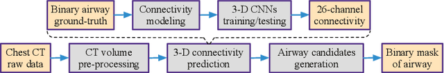 Figure 1 for AirwayNet: A Voxel-Connectivity Aware Approach for Accurate Airway Segmentation Using Convolutional Neural Networks