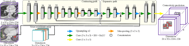 Figure 4 for AirwayNet: A Voxel-Connectivity Aware Approach for Accurate Airway Segmentation Using Convolutional Neural Networks