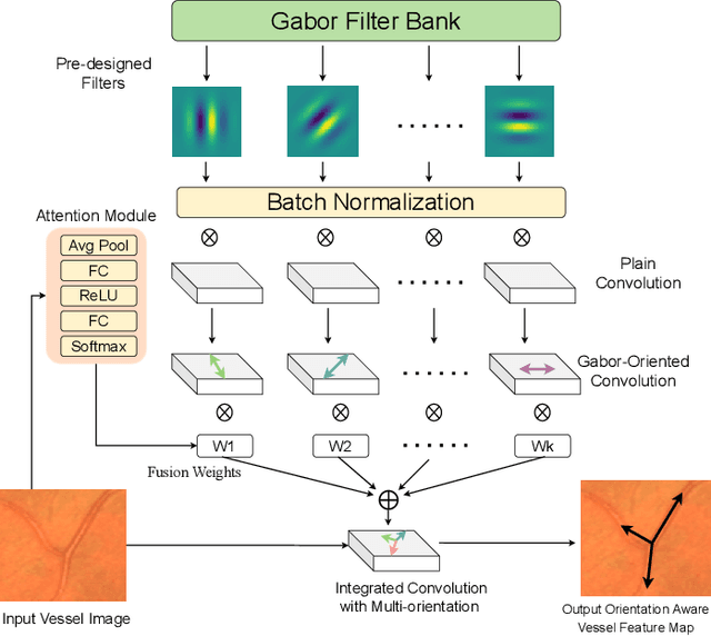 Figure 3 for Orientation and Context Entangled Network for Retinal Vessel Segmentation