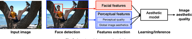 Figure 3 for Aesthetics Assessment of Images Containing Faces