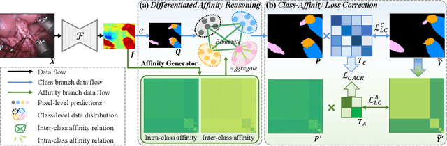 Figure 3 for Joint Class-Affinity Loss Correction for Robust Medical Image Segmentation with Noisy Labels