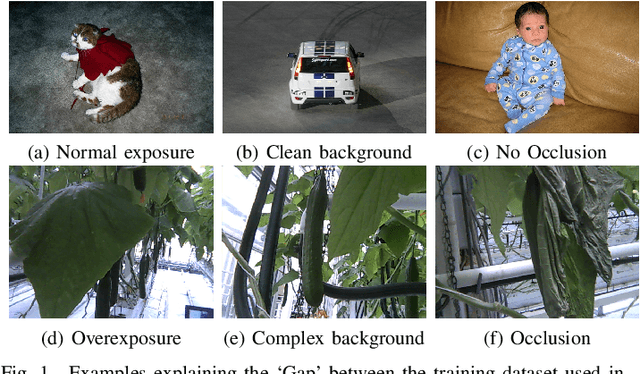 Figure 1 for Few-Shot Object Detection in Real Life: Case Study on Auto-Harvest