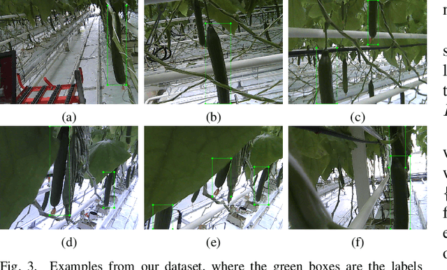Figure 3 for Few-Shot Object Detection in Real Life: Case Study on Auto-Harvest