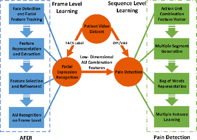 Figure 1 for Learning Pain from Action Unit Combinations: A Weakly Supervised Approach via Multiple Instance Learning
