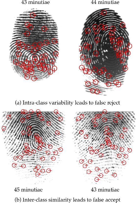 Figure 3 for Learning a Fixed-Length Fingerprint Representation