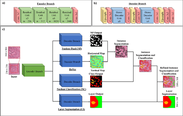 Figure 1 for Simultaneous Nuclear Instance and Layer Segmentation in Oral Epithelial Dysplasia