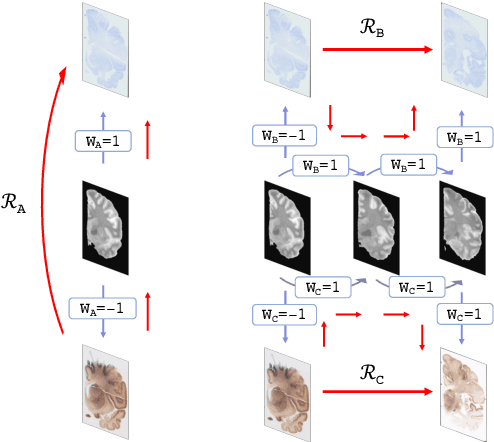 Figure 2 for Robust joint registration of multiple stains and MRI for multimodal 3D histology reconstruction: Application to the Allen human brain atlas