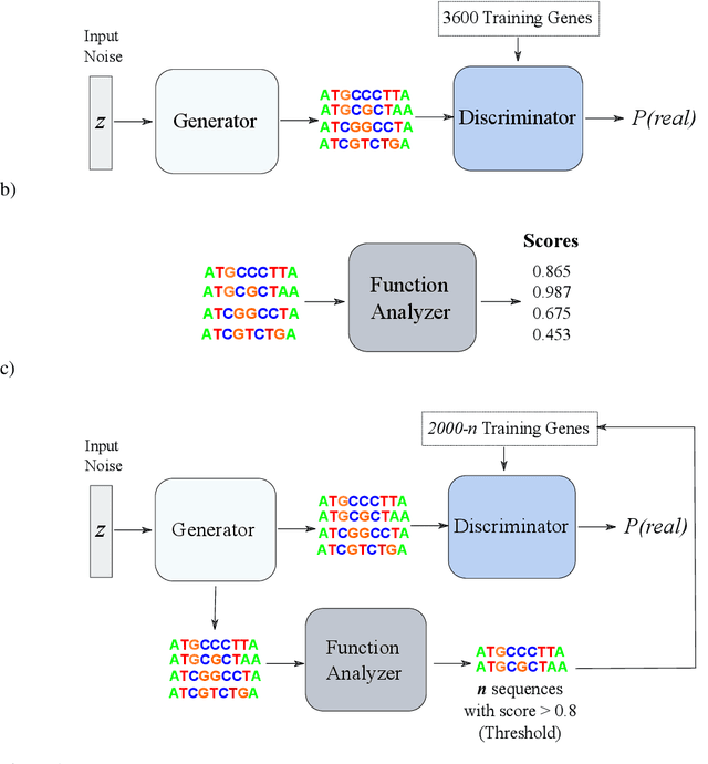 Figure 1 for Feedback GAN (FBGAN) for DNA: a Novel Feedback-Loop Architecture for Optimizing Protein Functions