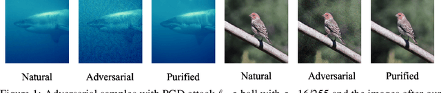 Figure 1 for Guided Diffusion Model for Adversarial Purification