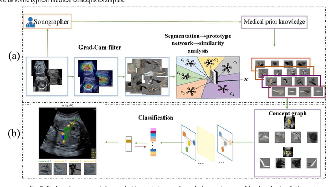 Figure 3 for Cognitive Explainers of Graph Neural Networks Based on Medical Concepts