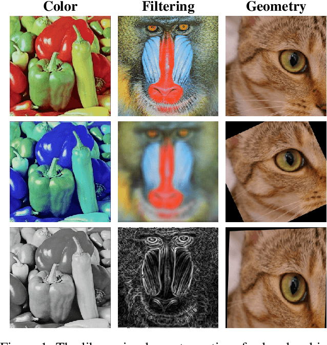 Figure 1 for Kornia: an Open Source Differentiable Computer Vision Library for PyTorch