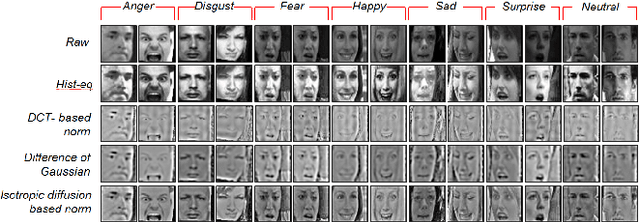 Figure 1 for Baseline CNN structure analysis for facial expression recognition