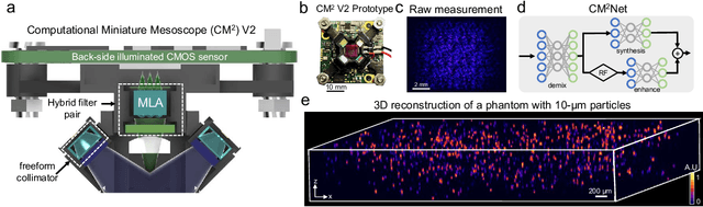 Figure 1 for Computational Miniature Mesoscope V2: A deep learning-augmented miniaturized microscope for single-shot 3D high-resolution fluorescence imaging