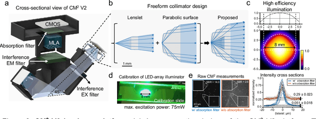 Figure 2 for Computational Miniature Mesoscope V2: A deep learning-augmented miniaturized microscope for single-shot 3D high-resolution fluorescence imaging
