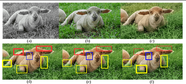 Figure 1 for Pixel-level Semantics Guided Image Colorization