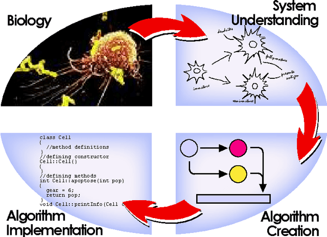 Figure 1 for Detecting Danger: The Dendritic Cell Algorithm
