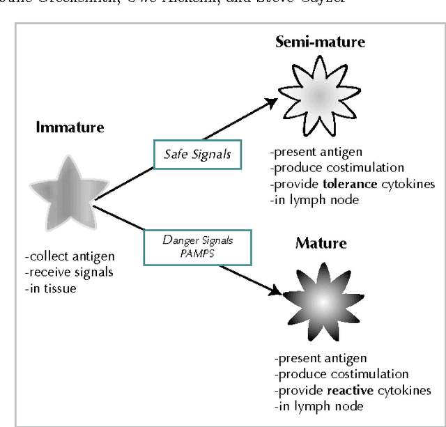 Figure 3 for Detecting Danger: The Dendritic Cell Algorithm