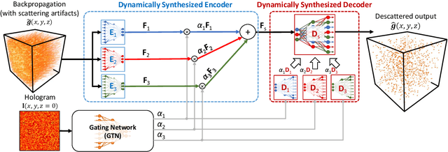Figure 1 for Adaptive 3D descattering with a dynamic synthesis network