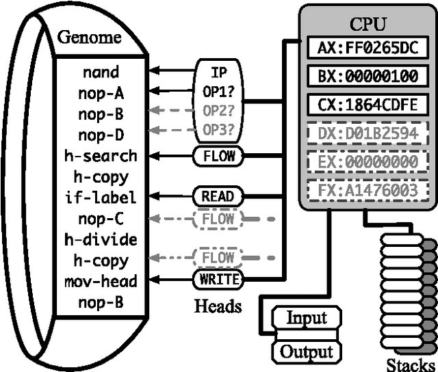 Figure 1 for Understanding Evolutionary Potential in Virtual CPU Instruction Set Architectures