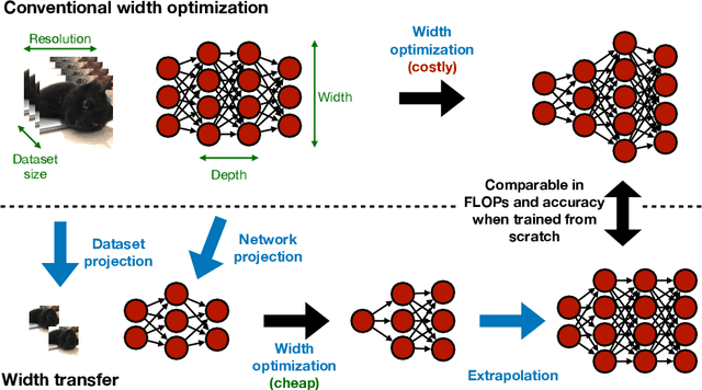 Figure 1 for Width Transfer: On the (In)variance of Width Optimization
