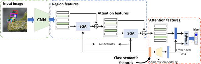 Figure 3 for Stacked Semantic-Guided Attention Model for Fine-Grained Zero-Shot Learning