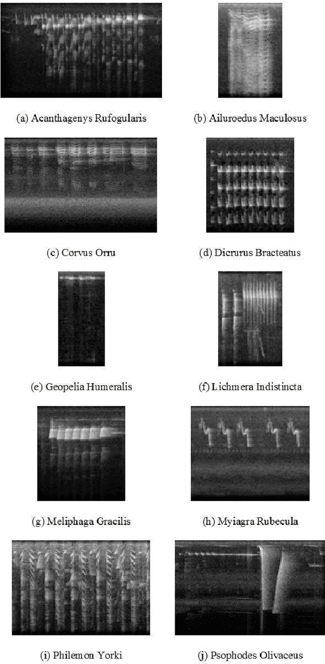 Figure 2 for Data-Efficient Classification of Birdcall Through Convolutional Neural Networks Transfer Learning