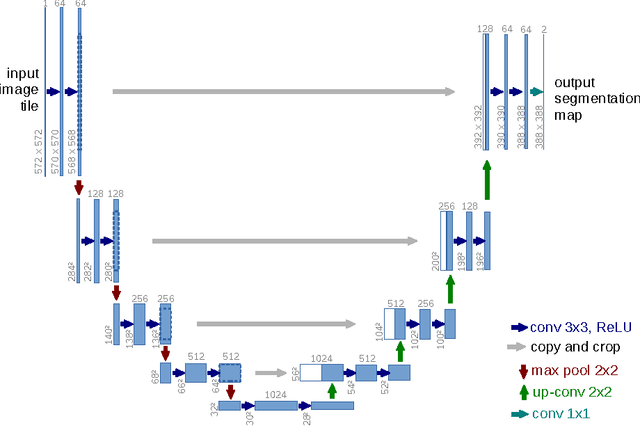 Figure 1 for U-Net: Convolutional Networks for Biomedical Image Segmentation
