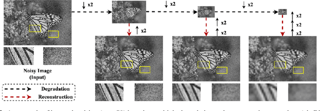 Figure 3 for Multiple Degradation and Reconstruction Network for Single Image Denoising via Knowledge Distillation