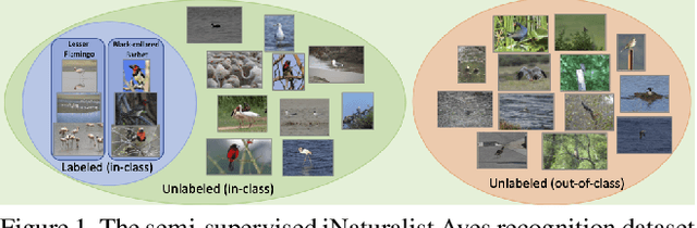 Figure 1 for The Semi-Supervised iNaturalist-Aves Challenge at FGVC7 Workshop