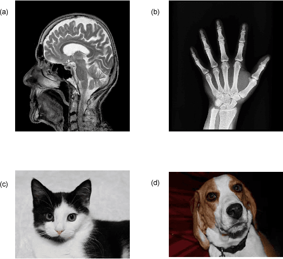 Figure 3 for Transforming Sensor Data to the Image Domain for Deep Learning - an Application to Footstep Detection