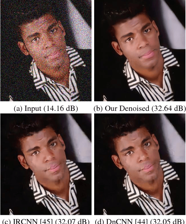 Figure 1 for Chaining Identity Mapping Modules for Image Denoising
