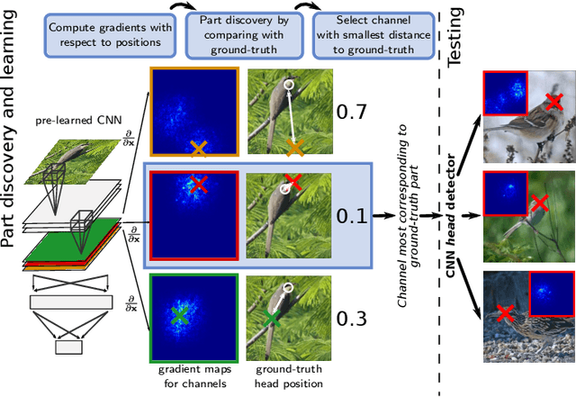 Figure 1 for Part Detector Discovery in Deep Convolutional Neural Networks