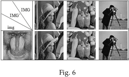 Figure 4 for Image Disguise based on Generative Model