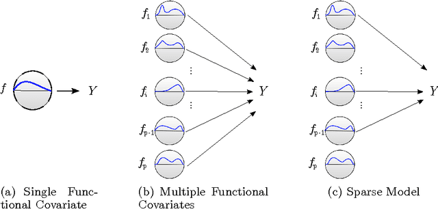 Figure 1 for FuSSO: Functional Shrinkage and Selection Operator