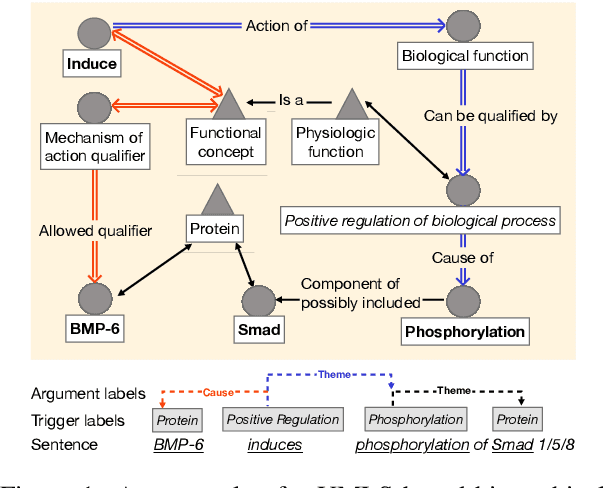 Figure 1 for Biomedical Event Extraction with Hierarchical Knowledge Graphs