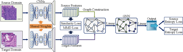 Figure 1 for Graph Neural Networks for UnsupervisedDomain Adaptation of Histopathological ImageAnalytics
