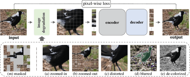 Figure 1 for Beyond Masking: Demystifying Token-Based Pre-Training for Vision Transformers