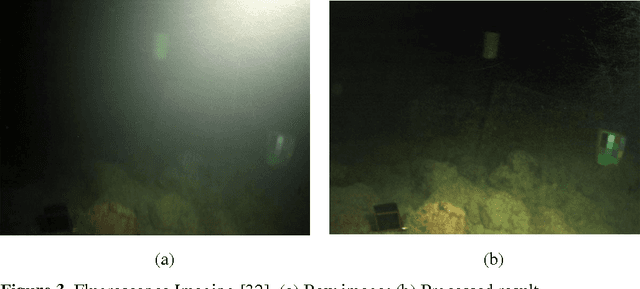 Figure 3 for Underwater Optical Image Processing: A Comprehensive Review