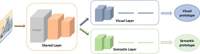 Figure 2 for Visual and Semantic Prototypes-Jointly Guided CNN for Generalized Zero-shot Learning
